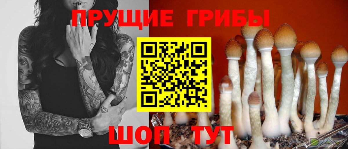 Галлюциногенные грибы Psilocybe  Вход с VPN  Галлюциногенные грибы GOLDEN TEACHER  Энгельс 