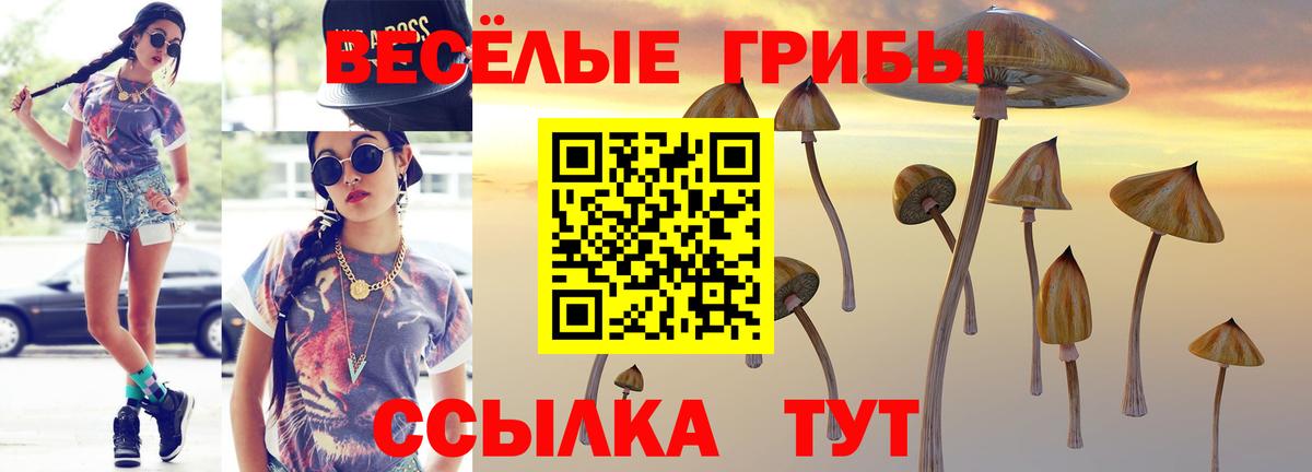 Галлюциногенные грибы Cubensis Энгельс